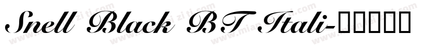 Snell Black BT Itali字体转换